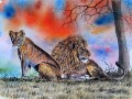 Lion et Lionne de l’Afrique